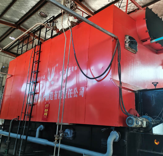 Biomass Fired Hot Water Boiler Maintenance Needs